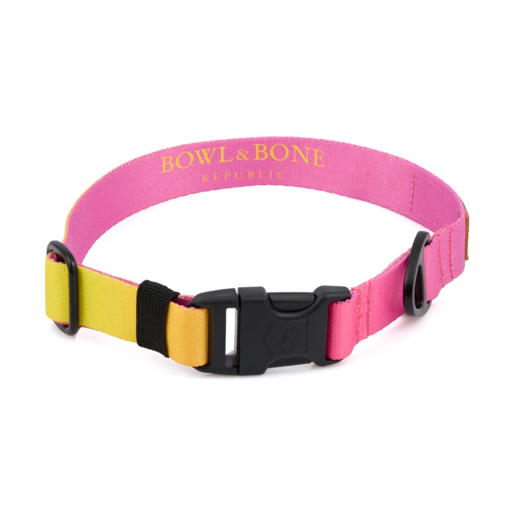 Fotografia produktowa na Amazon 15 fotografia produktowa packshot w studio obroza zolto rozowa ukos