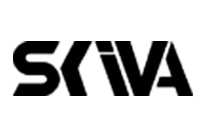 skiva